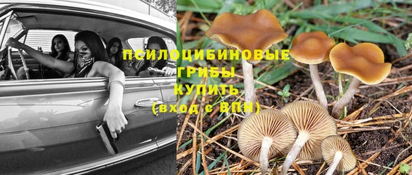 метамфетамин Алексин