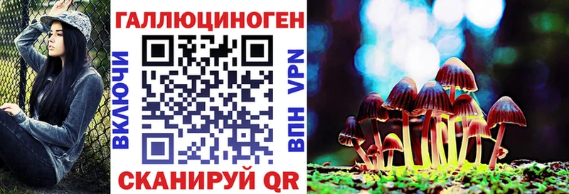 Псилоцибиновые грибы GOLDEN TEACHER  Купить закладки  Осинники 